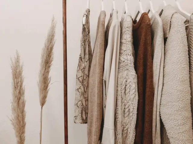Neatly organized capsule wardrobe closet with matching wooden hangers and clean shelves